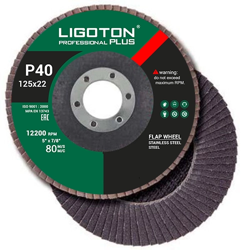 Круг лепестковый торцевой Ligoton Professional 125*22 P80
