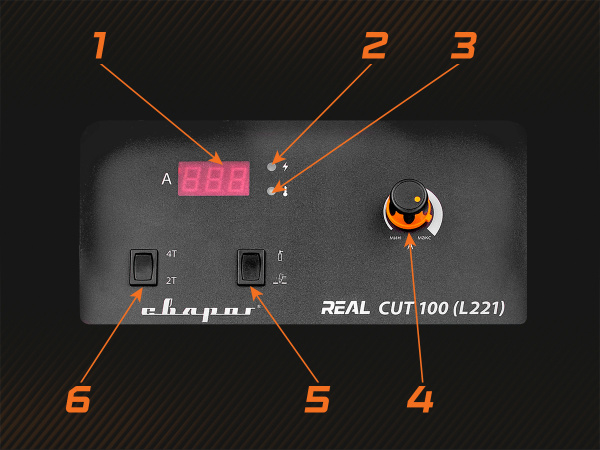 real_cut_100_l221_s.jpg real_cut_100_l221_s.jpg