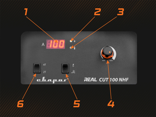real_cut_100_nhf_l22101_c.jpg