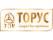 Торус Торус