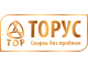Торус Торус